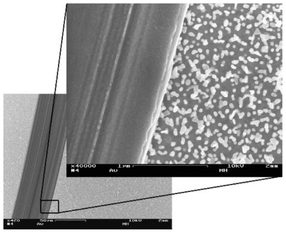 Figure 2 Scanning electron microscopy images showing a smooth area on a nanostructured gold surface, created by scratching away the particles with a syringe needle. The dark line represents the smooth area. The difference in surface roughness is clearly seen in the magnified inset. done with the software of the instrument, using a Tougaard background and tabulated sensitivity factors.
