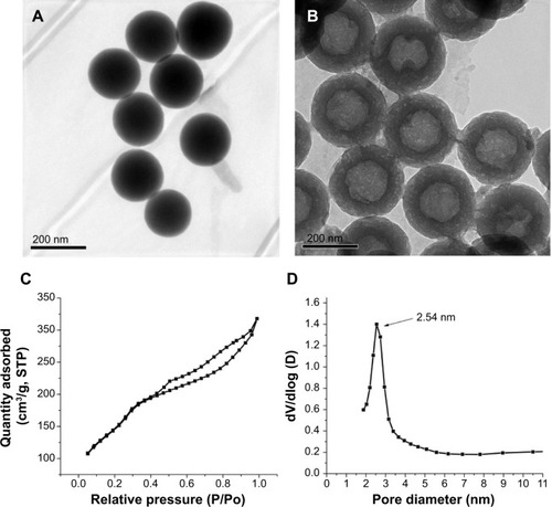 Figure 2 Transmission electron micrographs of (A) SSN and (B) HMSN. (C) N2 sorption isotherm and (D) pore size distribution of HMSN.Abbreviations: HMSN, hollow mesoporous silica nanoparticles; SSN, solid SiO2 nanospheres; STP, standard temperature and pressure.