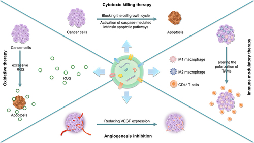 Figure 3 Applications of plant-derived vesicles in cancer therapy as a therapeutic agent.