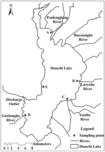Figure 1. The geographic location of the sampling sites. Source: The Authors.