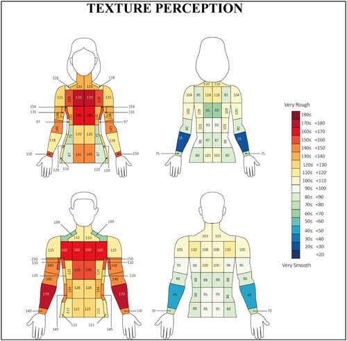 Figure 4. The females (n = 11) and males (n = 9) of texture perception distribution across the 36-testing location. All measurements were taken from the left-hand side of the body assuming asymmetry (Claus et al. Citation1987; Meh and Denišlič Citation1994).