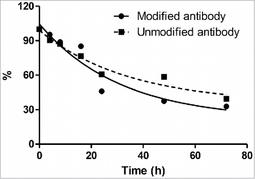 Figure 5. The stability of modified and unmodified antibodies in mouse plasma
