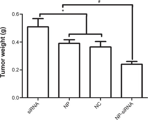 Figure 7 Comparison of tumor weights of tumor-bearing mice on the second day after the final treatment.Notes: Data are given as the means ± SD (n=5). *Significant (P<0.05) decrease of tumor weights in groups treated with blank TPGS-b-(PCL-ran-PGA) nanoparticles and scrambled siRNA-loaded TPGS-b-(PCL-ran-PGA) nanoparticles compared with the siRNA-treated group. #Significant (P<0.05) decrease of tumor weights in the group treated with siRNA targeting HIF-1α-loaded TPGS-b-(PCL-ran-PGA) nanoparticles compared with the other three groups.Abbreviations: HIF-1α, hypoxia-inducible factor-1α; NP, blank TPGS-b-(PCL-ran-PGA) nanoparticles; NC, scrambled siRNA-loaded TPGS-b-(PCL-ran-PGA) nanoparticles; NP-siRNA, siRNA targeting HIF-1α-loaded TPGS-b-(PCL-ran-PGA) nanoparticles; SD, standard deviation; siRNA, small interfering ribonucleic acid; TPGS-b-(PCL-ran-PGA), D-α-tocopheryl polyethylene glycol 1000 succinate-b-poly(ε-caprolactone-ran-glycolide).