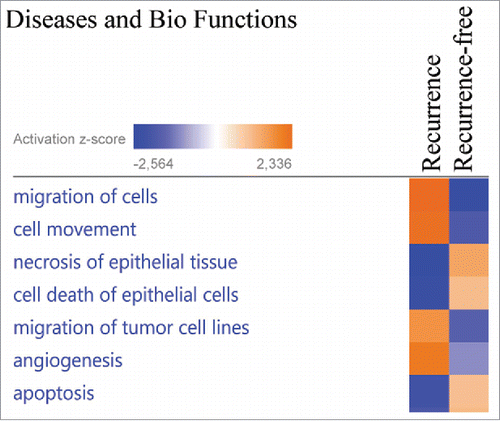 Figure 3. The proteins exhibiting significantly altered average protein expression (p ≤ 0.05) in the recurrence and recurrence-free group was examined by comparative analysis using IPA (Ingenuity Pathway Analysis). Diseases and Bio Functions revealed activation z-scores for patients with recurrence in “migration of cells,” “invasion of cells” and “proliferation of cells” compared with recurrence-free patients. Recurrence-free patients exhibited higher activation of “apoptosis” and “cell death” compared with patients with recurrence.
