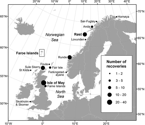 Figure 1. Ringing locations of 106 Atlantic puffins recovered around the Faroe Islands between October and March, as reported by December 2017. Totals for the Isle of May (38) and Røst (17) include a few birds ringed at nearby colonies. Names of study sites are indicated in bold.