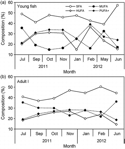 Figure 4. Monthly variation in the SFA, MUFA, and PUFA compositions of young (a) and adult (b) anchovies (E. japonicus) in the southern waters of Korea.