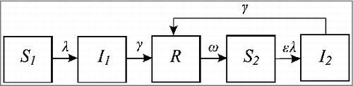 Figure 2. An SIRS model variant for infections with different characteristics for naïve and repeat infections. Naïve susceptibles (S1) acquire infection and move to the I1 state at a rate λ, with the population in I1 losing infectiousness at a rate γ and moving to the R compartment. Immunity is lost at a rate ω, after which individuals become susceptible to repeat infections (S2). This model structure assumes no return to the naïve state.