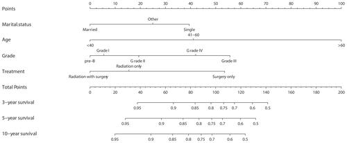 Figure 1 Nomograms for predicting the 3-,5-, and 10-year overall survival of solitary bone plasmacytoma patients. Description using nomograms: First, each feature point of the patient is assigned by plotting a vertical line to a point scale from the variable. Then, sum all the points and draw a vertical line from the total point scale to the liver metastasis axis to obtain the probability.