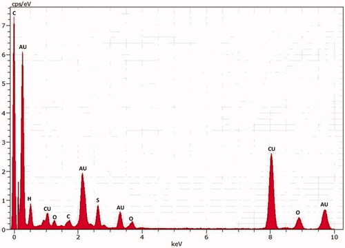 Figure 4. Elemental analysis of AuNPs using EDX.