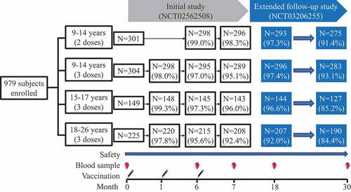 Figure 1. Study design. Display full size: Vaccination; Display full size : Blood collection. Vaccines were administered during the initial study at 0, 1, and 6 months (3 doses) or at 0 and 6 months (2 doses). All subjects were invited to donate blood samples in month 18 and month 30 for antibodies analysis in the extended follow-up study. The text boxes show the number and follow-up rate of the subjects vaccinated/sampled at each time point.