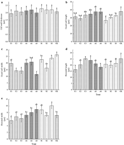 Figure 8. Effect of foliar calcium fertilizer on the epidermis of cherry fruit. The values are mean ± S.E. of three replicates. Vertical bars represent S.E. Vertical bars with the same letter were not significantly different at p<.05.