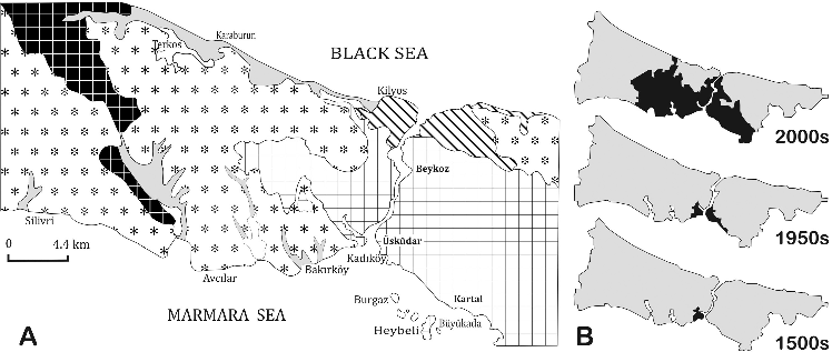 Figure 1. (A) Simplified geological map; (B) The historical development of Istanbul residential areas between 1500s and 2000s.