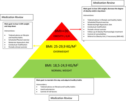 Figure 1 Pharmacist’s interventions according to the patient’s BMI.Citation10