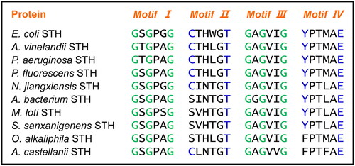 Figure 2. Amino acid sequence alignment of four key sequence motifs in STHs. Multiple sequence alignment was carried out using ClustalW.