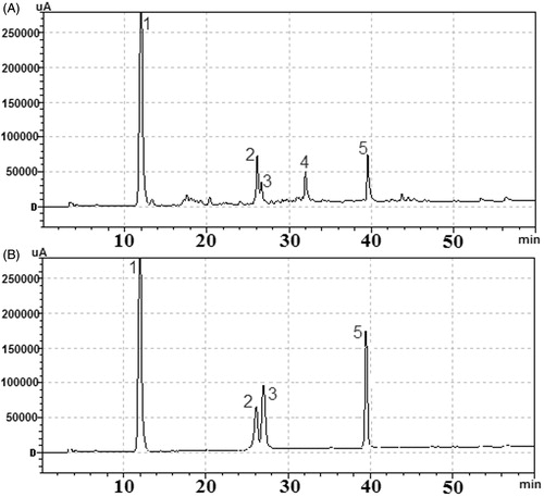 Figure 4. Representative HPLC chromatograms of (A) the ethyl acetate fraction of the CFAE; (B) mixed standard solutions. (1) Gallic acid; (2) 3,4,6-tri-O-galloyl-β-d-Glc; (3) corilagin; (5) ellagic acid. The HPLC analytical conditions were described in the Analysis of the main compounds in ethyl acetate fraction section.