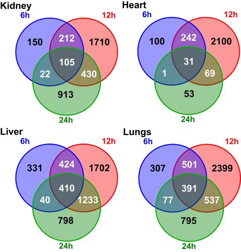 Figure 3 Venn diagram illustrating the overlapping numbers of DEGs for organs during the CLP induced sepsis.