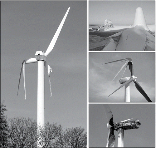 Figure 2. Illustration that new “green” technologies, such as wind energy production, are not hazard free.Citation[199] (Top right photo used with permission of the Sherman County, Oregon, Sheriff's office.)