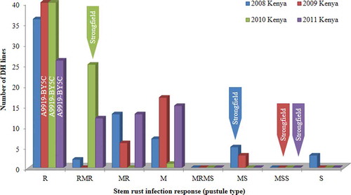 Fig. 1 Frequency distribution of stem rust infection response (IR) for the doubled haploid mapping population of the cross A9919-BY5C × Strongfield in field nurseries near Njoro, Kenya, during the four consecutive years 2008 to 2011. Stem rust IR for A9919-BY5C and Strongfield are indicated on the graph except A9919-BY5C in 2008 that was missing