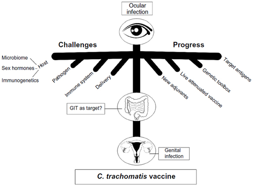 Figure 1 Summary of current challenges and progress in the development of a vaccine against C. trachomatis ocular and genital infections.