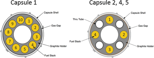 Fig. 3. Cross-sectional view of Capsules 1, 2, 4, and 5.