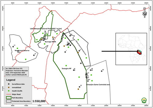 Figure 1. Map of Tarangire-Manyara ecosystem in Northern Tanzania showing study transects with distribution of giraffes observed during the field survey.