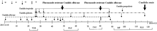 Fig. 3 Detection time and antifungal treatment process for all candida isolates of the first patient presenting with Candida auris infection (RICU1) during hospitalization.This patient was treated with voriconazole (VOR 400 mg/day) for 7 days; fluconazole (FLU 400 mg/day) for 12 days; caspofungin (CAS 50 mg/day) for 10 days; and micafungin (MF 100 mg/day) for 14 days. Sp sputum; ur urine; bl blood; ca urinary catheter