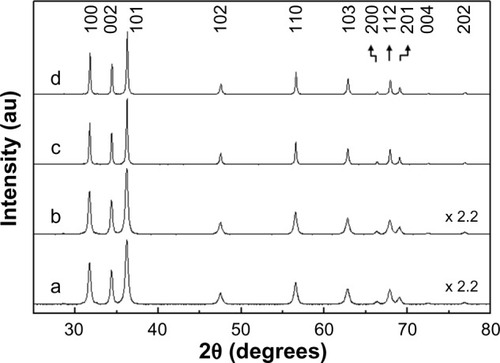 Figure 1 Powder X-ray diffraction patterns for (a) ZnOSM20(−), (b) ZnOSM20(+), (c) ZnOAE100(−), and (d) ZnOAE100(+).