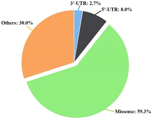 Figure 1. Three-dimensional pie-chart analysis of human TLR9. The figure shows the association of percentage missense SNPs, 5′-UTR, 3′-UTR, and other types of SNPs. The data set of correlated TLR9 SNPs is retrieved from the TCGA database. The total of retrieved 263 SNPs are comprising the human TLR9 gene sequence, where 21 SNPs are 5′-UTR (8.0%), 7 SNPs are 3′-UTR (2.7%), 156 SNPs are missense (59.3%), and 79 SNPs are others (30.0%).