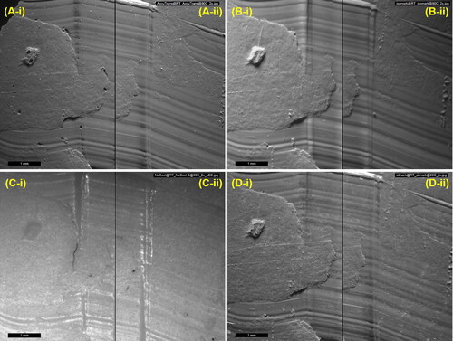 Figure 2. Photomicrographs showing the same set of toolmarks reproduced by (A) AccuTrans® AB, (B) Isomark™ T-1 grey, (C) NuCASTtool, and (D) Silmark CART casting materials. The casts labelled (-i) were control casts, while those labeled (-ii) were casts subjected to the 90 °C–1 h protocol. The scalebars represent 1 mm.