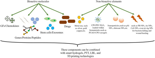 Figure 2 Schematic illustration of the categories of biomaterials used on diabetic wounds. Biomaterials are loaded with bioactive molecules (including GFs, genes/proteins/peptides, stem cells/exosomes, etc.) and non-bioactive substances (including metal ions, oxygen, etc.) to promote diabetic wound healing.