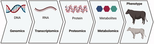 Figure 4. The several layers of biological complexity that can be explored using ‘omics’ approaches.