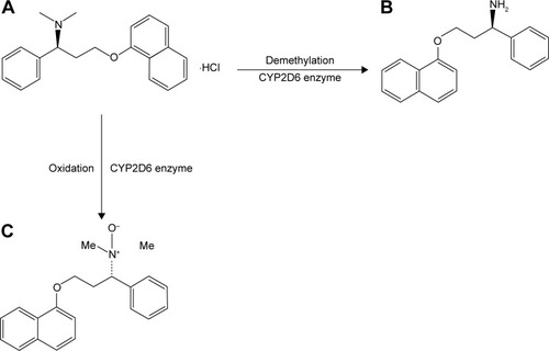 Figure 1 Structures of the analytes and Phase I metabolic pathway of dapoxetine by CYP2D6 enzyme.
