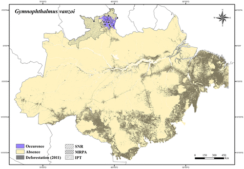 Figure 44. Occurrence area and records of Gymnophtalmus vanzoi in the Brazilian Amazonia, showing the overlap with protected and deforested areas.
