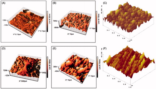 Figure 1. Topography of polymers modified by laser radiation. Chitosan (A: non-modified surface, B: modified & non-oriented surface, C: modified & oriented surface), and polypropylene (D: non-modified surface, E: modified & non-oriented surface, F: modified & oriented surface).