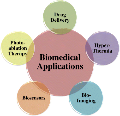 Figure 2. Schematic showing some of the biomedical applications of nanoparticles.