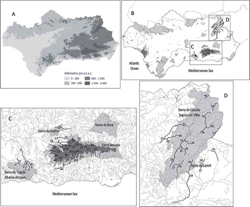 Figure 2. (A) Altimetry of the study region (meters above sea level, m a.s.l.); (B) distribution of the brown trout in Andalusia: thick lines delimit Andalusia, shaded lines demarcate the basins (see Figure 1) and the boxes show the areas where brown trout populations are present; (C, D) detailed distributions. The light gray surfaces are natural parks and the dark gray surfaces are national parks. These natural reserves are named, and the inhabiting rivers are numbered, according to the codes in the supplemental online data.