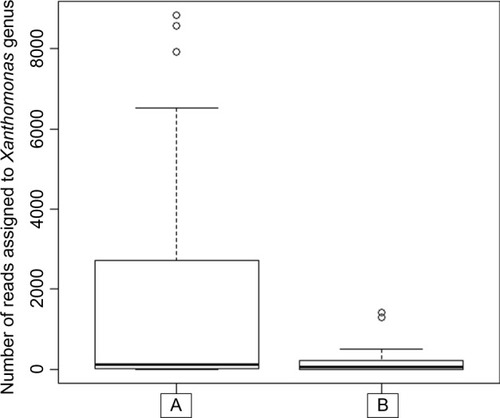 Figure 5 Xanthomonas genus in each treatment group A (n=17) and B (n=13).