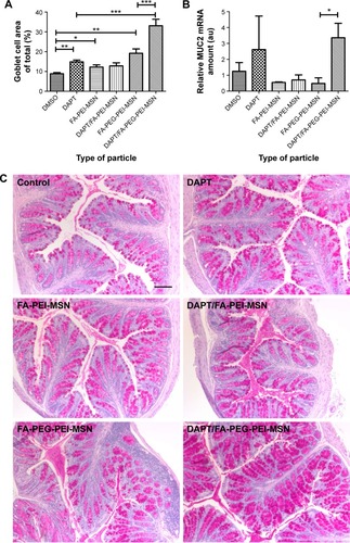 Figure 3 PEG-PEI-functionalized and Notch inhibitor DAPT-loaded MSNs induce goblet cell hyperplasia and increased levels of MUC2 in the colon.Notes: Mice were fed vehicle control (HEPES), control particles (FA-PEI-MSNs, FA-PEG-PEI-MSNs), the Notch inhibitor DAPT, or DAPT-loaded MSNs (DAPT/FA-PEI-MSNs, DAPT/FA-PEG-PEI-MSNs) by oral gavage (n=3 mice per treatment). (A and C) The colon was excised, fixed in 4% paraformaldehyde, and processed for paraffin embedding. Sections of 6 μm thickness were stained for goblet cells by PAS staining, and goblet cell area in colon was quantified using ImageJ (n=3 mice per treatment). (B) Colon samples were stored in RNA later, and MUC2 mRNA levels were determined by quantitative RT-PCR. Scale bar =100 μm. Statistical analysis was done by Student’s t-test: *P<0.05, **P<0.01, and ***P<0.001.Abbreviations: PEG, poly(ethylene glycol); PEI, poly(ethylene imine); MSN, mesoporous silica nanoparticle; HEPES, 4-(2-hydroxyethyl)-1-piperazineethanesulfonic acid; FA, folic acid; PAS, periodic acid–Schiff; RT-PCR, reverse transcription polymerase chain reaction; DMSO, dimethyl sulfoxide.