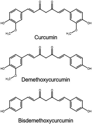 Figure 3. Compounds associated with the functional effects of turmeric products.
