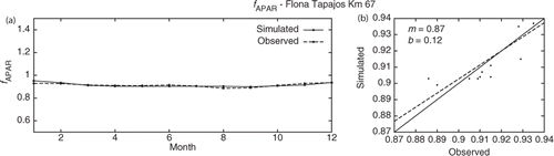 Figure 4. Results of fAPAR after mono-objective calibration. The graphs represent (a) a year of monthly data and (b) scatter plot.