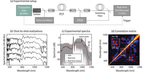 Figure 4. Example of DFT implementation for the experimental analysis of octave-spanning supercontinuum: (a) Experimental setup. (b) Single shot spectra obtained experimentally by DFT measurements. (c) Superimposed single shot (grey dashes) and mean (black line) DFT spectra obtained from real-time DFT measurement and compared to optical spectral analyzer ‘averaged’ measurement (red dashes). (d) Octave spanning spectral correlation map (via Pearson coefficient) reconstructed form experimental DFT shot-to-shot spectral fluctuation analysis. Adapted from Ref. [Citation62].