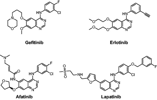 Figure 1. EGFR inhibitors in drugs.