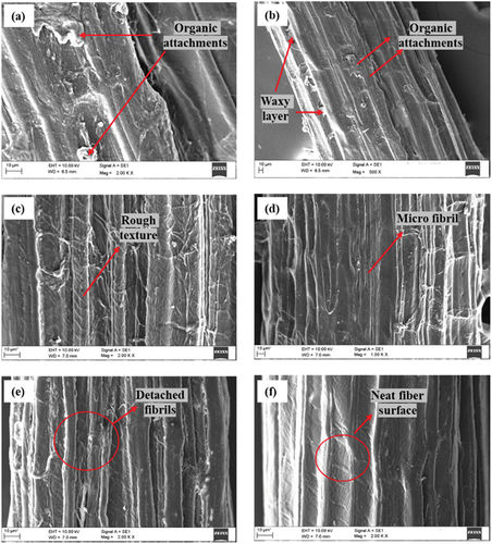 Figure 9. SEM images of FF fiber surface (a)-(b) UTFF (c) NTFF (d) ATFF (e) PTFF (f) BTFF.