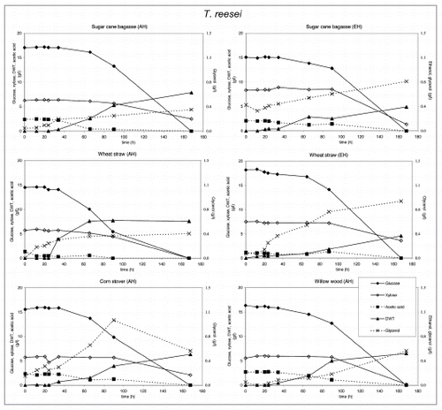 Figure 5 Substrate utilization and product production performance of T. reesei on sugar cane bagasse (AH), wheat straw (AH), corn stover (AH), glycerol, wheat straw (EH), sugar cane bagasse (EH) and willow wood (AH).