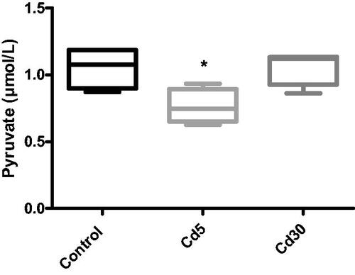 Figure 6. Effect of cadmium on cardiac pyruvate level. A significant reduction was observed in the Cd5 group when compared with the control while there was no change in the pyruvate level in the Cd30 group.