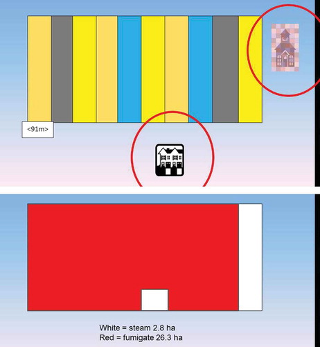 Figure 3. A grower’s view of a 29.1 ha farm on top divided into 91-m-wide blocks as is the normal method for strawberry production (top). Portions of three blocks are close to a neighborhood and another block is within 400 m of a school and thus fumigant applications are limited to a few hours on weekends. In the case of a continuously occupied hospital or jail or a school with weekend activities, then fumigation would not be feasible. On the bottom is the fumigant/steam provider’s view of the same farm. Custom steam application could take place within white buffer zones and fumigants could be used in the remainder of the field.