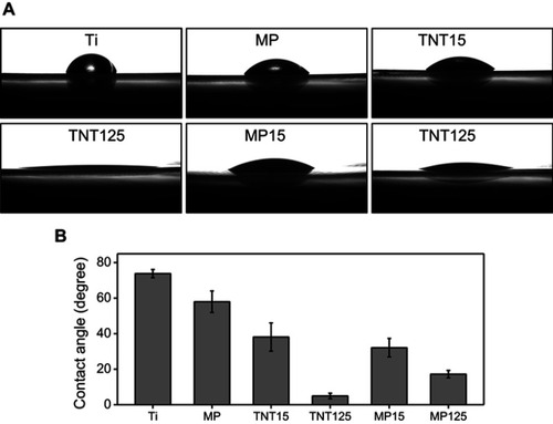 Figure 2 (A) Representative images of water contact angles; (B) statistics of water contact angle of different substrates.