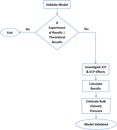 Figure 6. Flow chart of model verification.