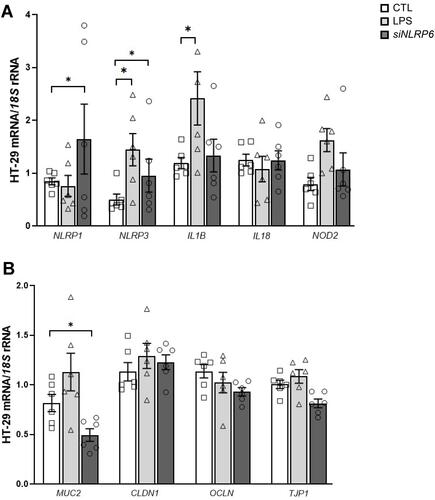 Figure 6 Effect of blocking NLRP6 expression in the gene expression levels of (A) inflammasome- and (B) intestinal integrity-related factors in colon cancer cells. The downregulation of NLRP6 increased the mRNA levels of NLRP1 and NLRP3. HT-29 cells were incubated with LPS (1000 ng/mL) and also were transfected with or without 100 pmol/L NLRP6 siRNA/2x105 cells/well for 24 h. Values are the mean ± SEM (n=6 per group). Differences between groups were analyzed by one-way ANOVA followed by Tukey’s tests. *P<0.05 vs scrambled siRNA. (n=6 per group).