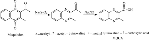 Figure 1.  Synthesis of methyl-3-quinoxaline-2-carboxylic acid.